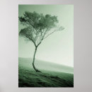 Search for windswept posters Sky