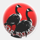 Search for canadian geese stickers Wildlife