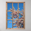 Search for cherry tree posters Sakura