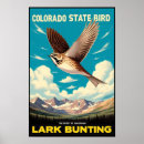 Search for larks posters Colorado
