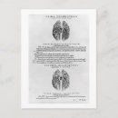 Search for conditioning postcards Vesalius