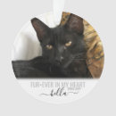 Search for loss pet memorial ornaments Forever in my heart