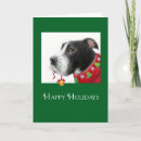 Search for pit bull christmas cards Dog