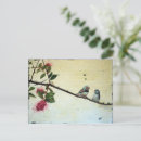 Search for finches postcards Vintage