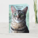 Search for loss of pet sympathy cards Death of cat
