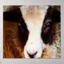 Search for wool posters Blue