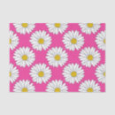 Search for white daisy tissue paper Modern