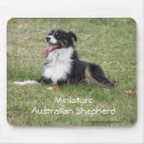 Search for cattle dog electronics Aussie