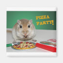 Search for gerbils Cute
