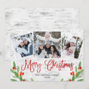 Search for birch christmas cards Modern
