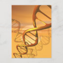 Search for genetics postcards Illustration