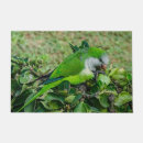 Search for parrot doormats Animal