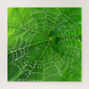 Search for spider web puzzles Green
