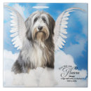 Search for sheepdog tiles Dogs