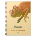 Search for name lizard Back to school