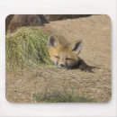 Search for animal gallery electronics Usa