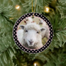 Search for lamb christmas tree decorations Cute