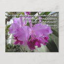 Search for cattleya orchid postcards Orchids