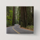 Search for road tree badges Usa