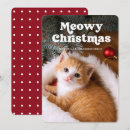 Search for funny retro christmas cards Cat lover
