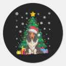 Search for bearded collie stickers Merry christmas