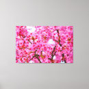 Search for pink cherry blossom canvas prints Flower