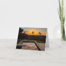 Search for palm cards Sky