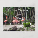 Search for merry florida christmas postcards Festive