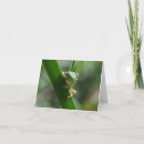 Search for tree frog cards Encouragement