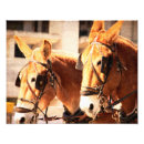 Search for mules posters Donkey