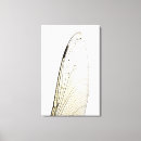 Search for wings canvas prints Black