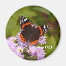 Search for red admiral butterfly Butterflies