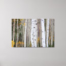 Search for aspen canvas prints Leaf