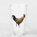 Search for chicken tumblers Bird