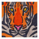 Search for orange dot posters Animal