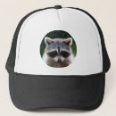 Search for the coon hats Racoon