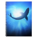 Search for ocean creature notebooks Adventure