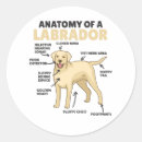 Search for sweet dog stickers Puppy
