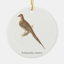 Search for turtle christmas tree decorations Illustration