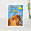 Search for vet graduation cards Congratulations