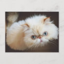 Search for photo box postcards Photography