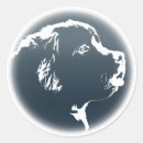 Search for newfoundland dog stickers Pets