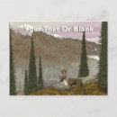 Search for british wildlife postcards Nature