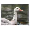 Search for canadian notepads Water