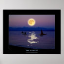 Search for orca art Marine life