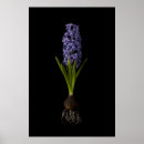 Search for fragrant posters Bouquet