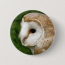 Search for barn owl badges Owls