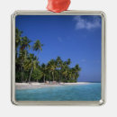 Search for idyllic christmas tree decorations Landscape