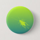 Search for cricket badges Bug
