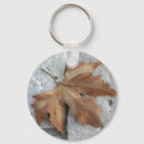 Search for dry accessories Fall